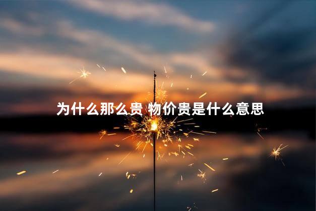 为什么那么贵 物价贵是什么意思